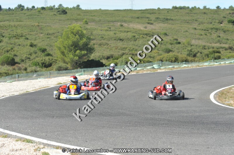DSC (2780).JPG